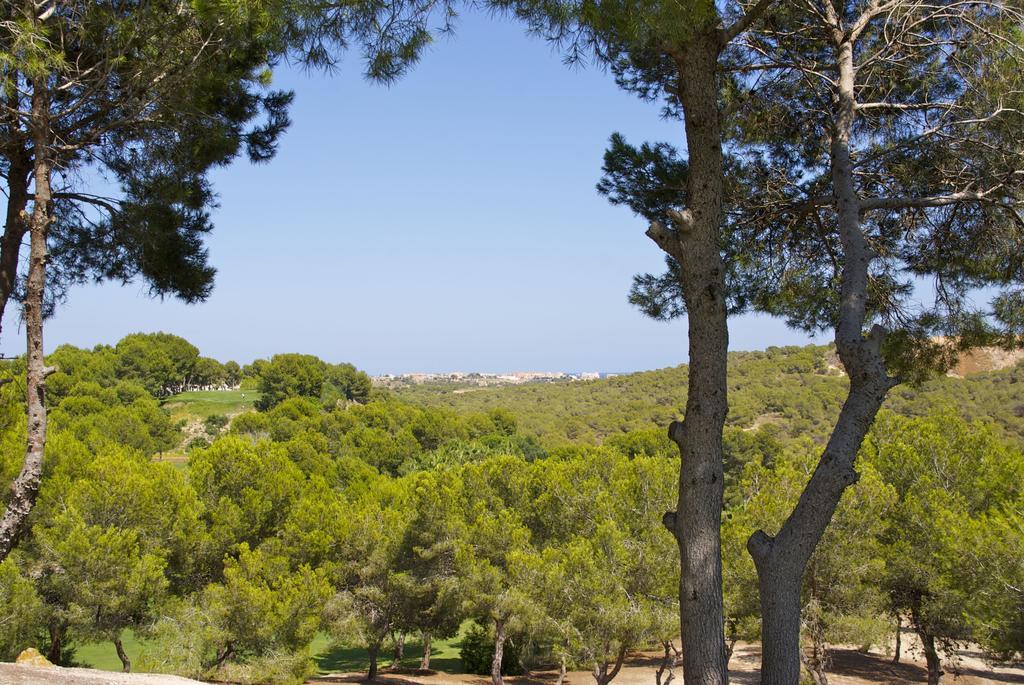 Casa Vromans Alto Torrevieja Oda fotoğraf